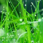 LXY-01的头像-i游戏 | 爱游戏 – www.iyouxi.com.cn